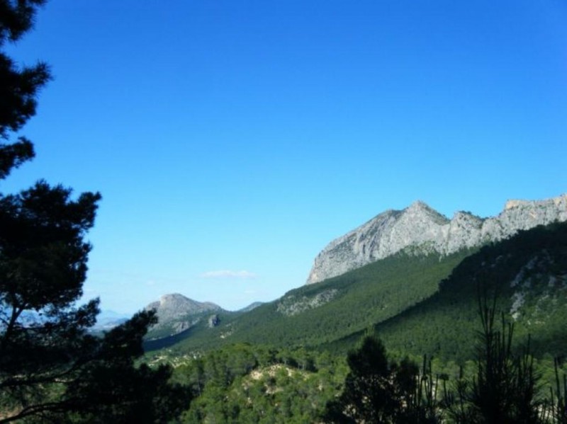 <span style='color:#780948'>ARCHIVED</span> - 25th to 31st March; What's on in Alhama de Murcia