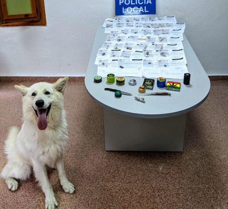 <span style='color:#780948'>ARCHIVED</span> - Eros the sniffer dog leads to 40 people facing drug-related charges in Cieza