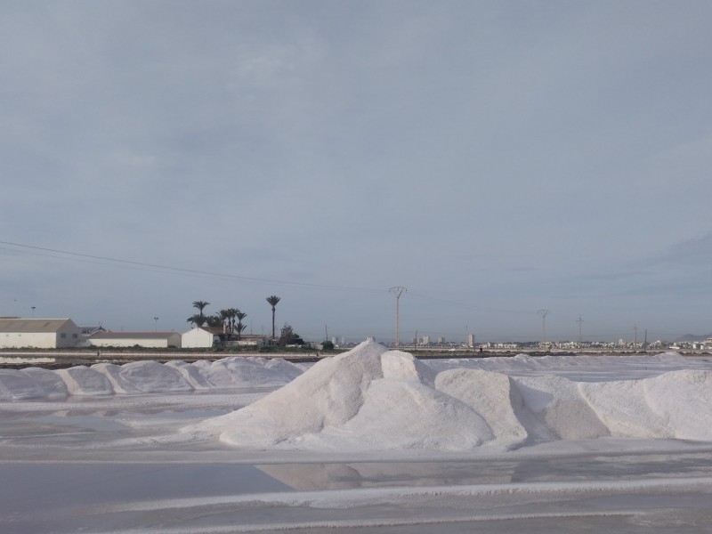 <span style='color:#780948'>ARCHIVED</span> - Salt harvest mounting up in San Pedro del Pinatar