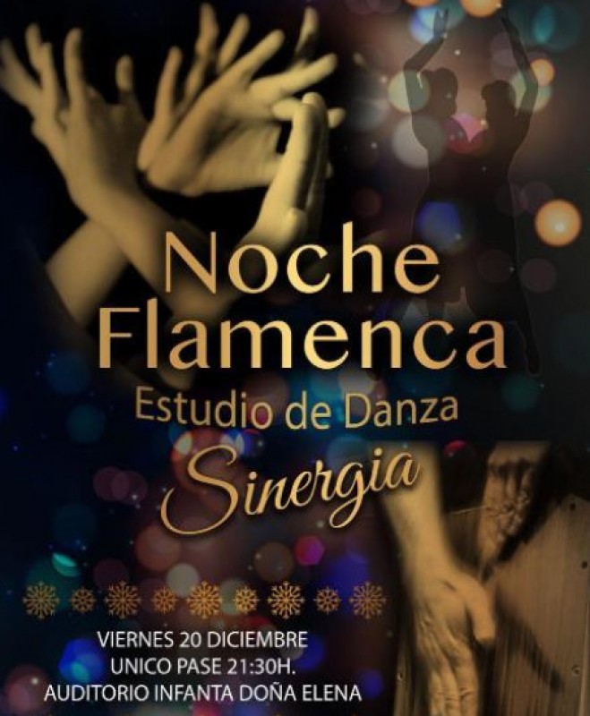 <span style='color:#780948'>ARCHIVED</span> - 20th December, flamenco dance gala at the Auditorio Infanta Elena in Águilas