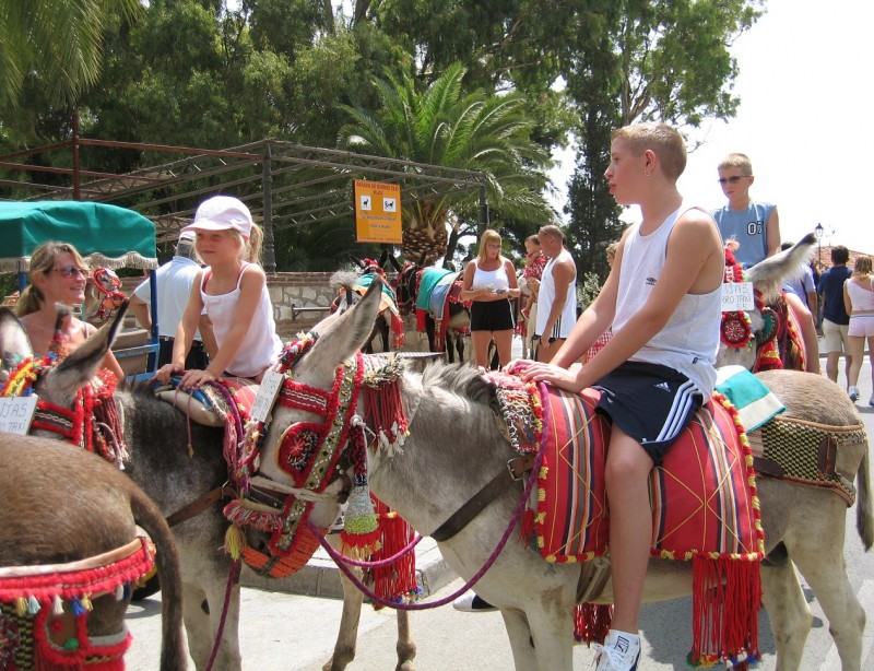 <span style='color:#780948'>ARCHIVED</span> - Costa del Sol donkey taxis awarded charter of workers’ rights