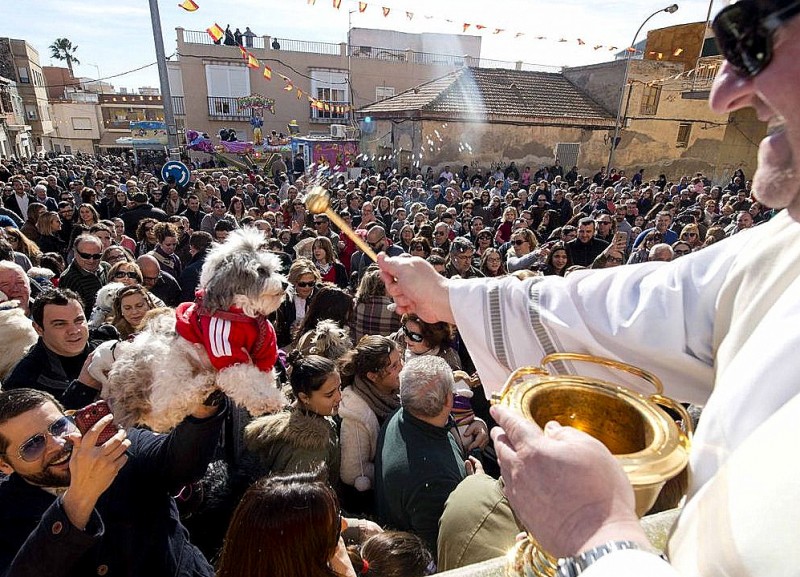 <span style='color:#780948'>ARCHIVED</span> - Friday 17th January Blessing of the animals in Cartagena