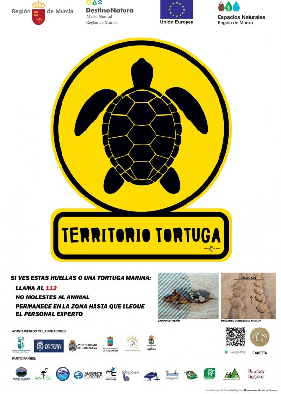 <span style='color:#780948'>ARCHIVED</span> - Turtle comes ashore in La Manga but leaves without laying eggs