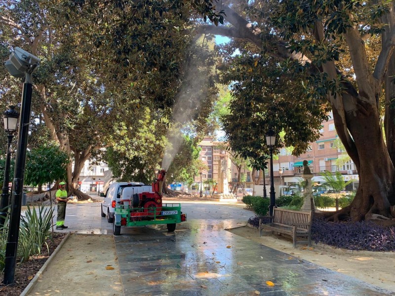 <span style='color:#780948'>ARCHIVED</span> - Safety showers to prevent monster trees collapsing in Murcia City