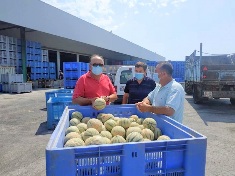 <span style='color:#780948'>ARCHIVED</span> - In spite of confinement Totana agriculturalists donate fruit for the needy