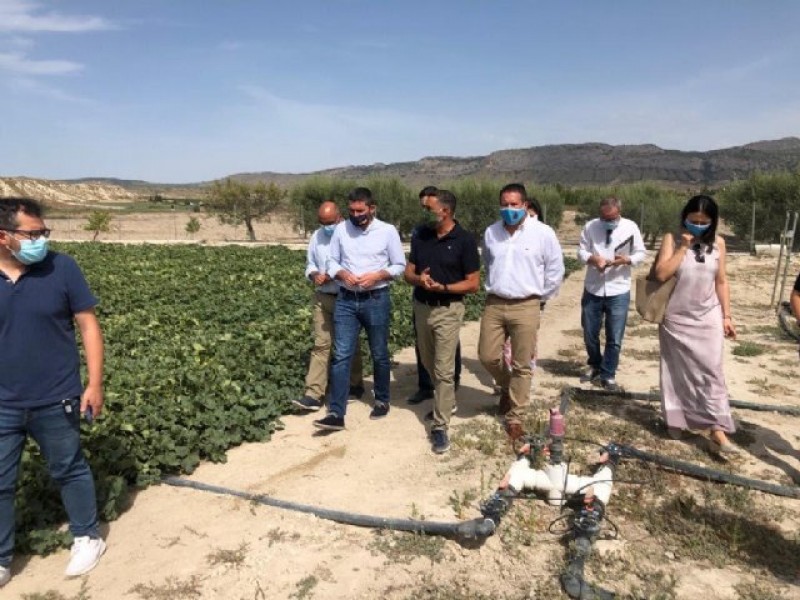 <span style='color:#780948'>ARCHIVED</span> - Experimental farm in Mula reduces the use of fertilizers in agriculture through micro-organisms