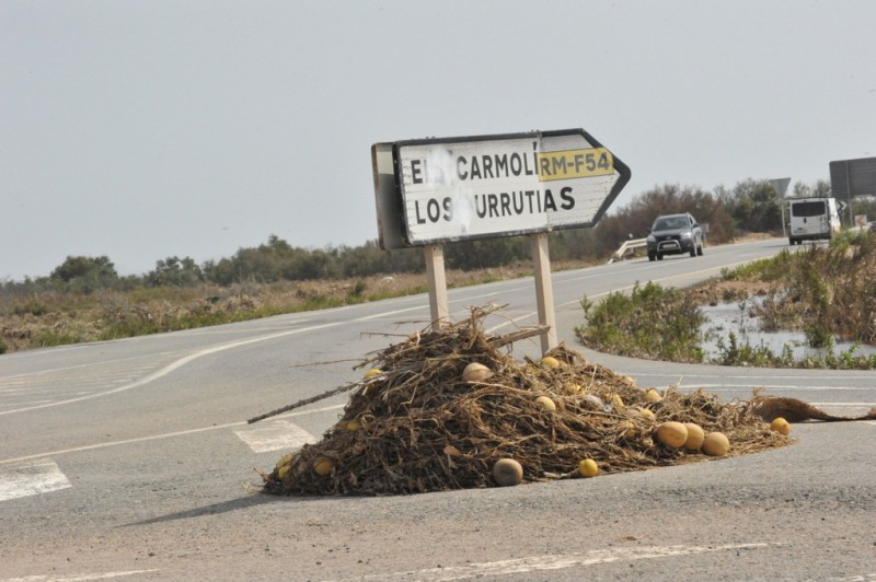 <span style='color:#780948'>ARCHIVED</span> - 292 procedures against agricultural concerns illegally drilling into the Campo de Cartagena aquifer