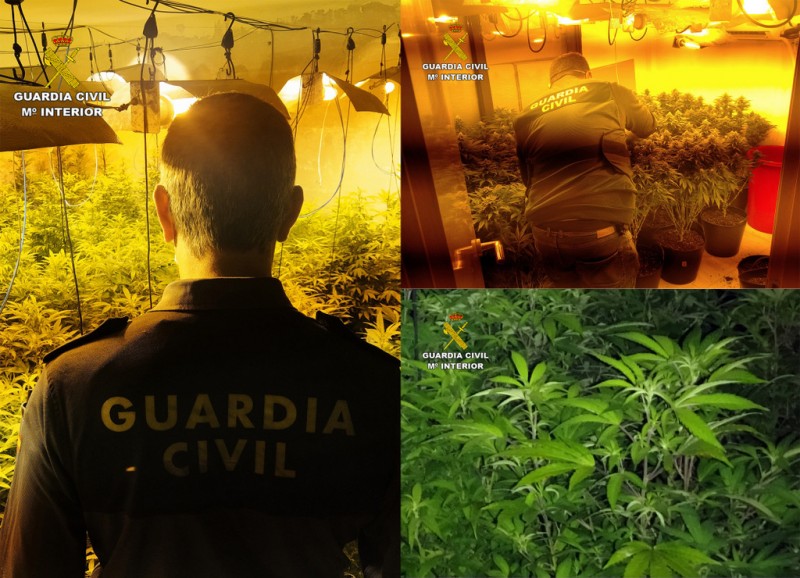 <span style='color:#780948'>ARCHIVED</span> - Four clandestine marijuana greenhouses discovered in Los Alcazares