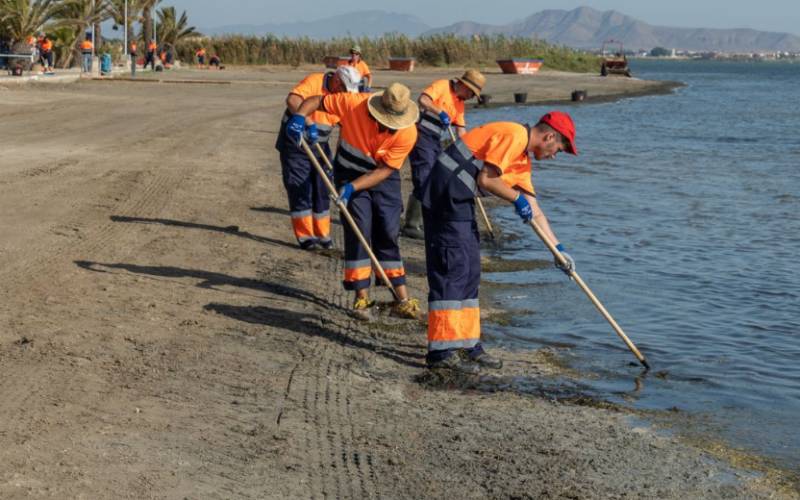 <span style='color:#780948'>ARCHIVED</span> - Cartagena earmarks 2.4 million euros for the maintenance and cleaning of the coastline