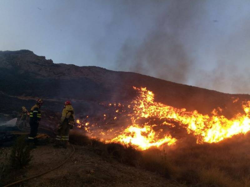 Region of Murcia activates forest fire plan early as wildfires more than double