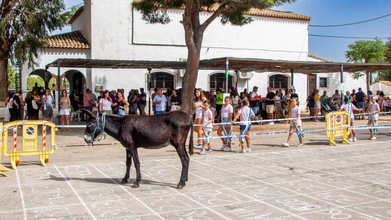 Tourists delighted and disgusted in equal measure by Benidorm donkey poo lottery festival