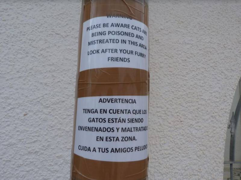 Suspected bird and animal poisoning in Cartagena and Los Alcazares