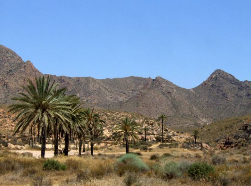 The Sierra de Las Moreras in Mazarron