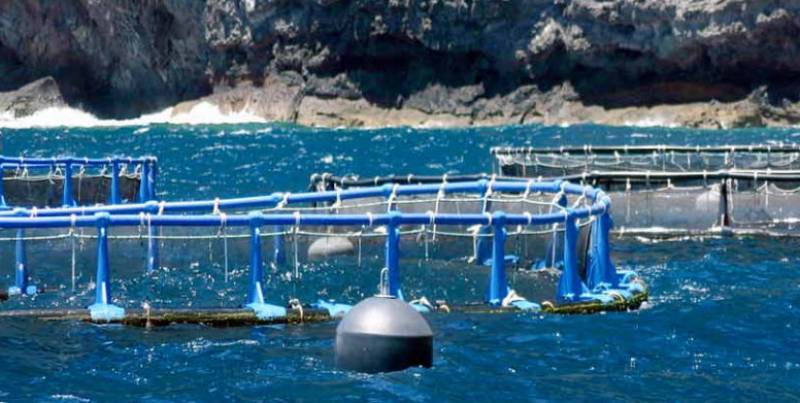 Mazarron council opposes huge fish farm off the coast of the bay