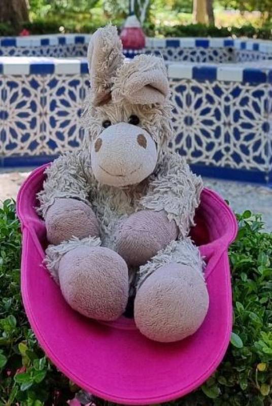 German lawyer offers 1,000-euro reward for teddy bear lost in Sevilla