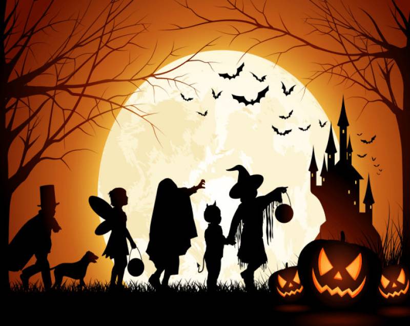 October 25 to 31 Alhama Town Hall programs Halloween activities