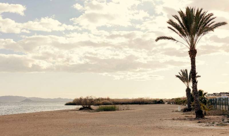 The beach of Playa de la Hita in Los Alcázares