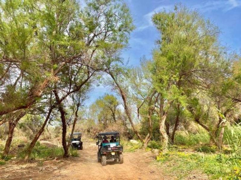 Explore Mazarrón the eco-friendly way with Ecoadventure electric bicycle rental and guided buggy tours