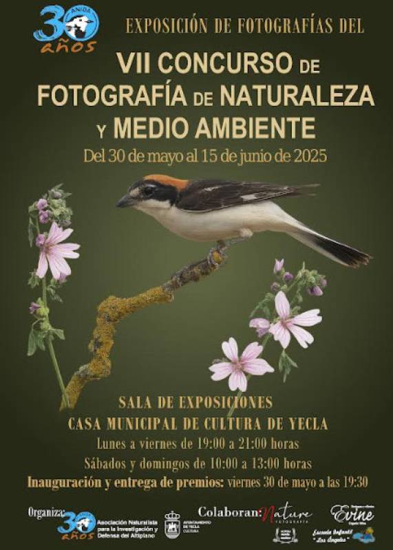May 30 to June 15 Wildlife photography exhibition in Yecla
