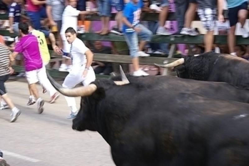 August 23 to September 8 Annual fiestas in Calasparra
