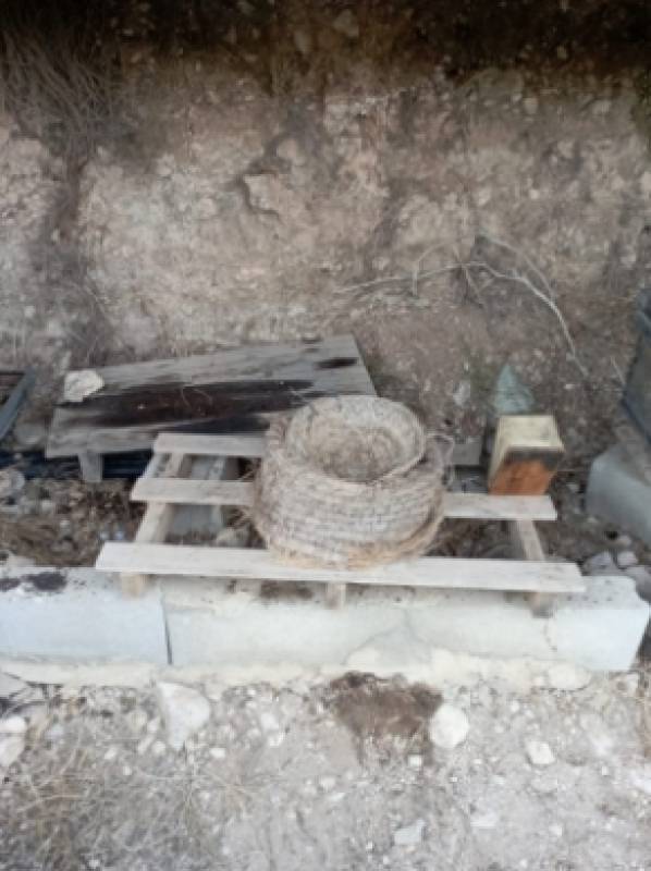 Guatazales in Bullas: Where regenerative farming brings the ancient River of Honey back to life