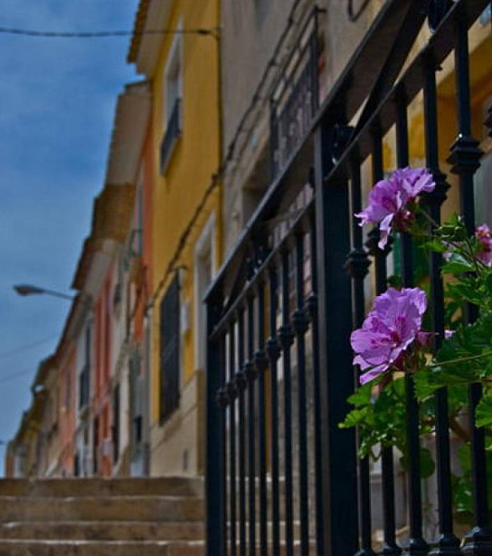 November 29 Free guided tour of La Puebla de Mula