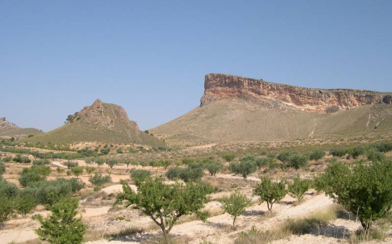 10 reasons to visit Jumilla in northern Murcia