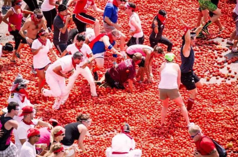 From airport transfers to exciting excursions, discover the Costa Cálida with Flamingo HolidayFun