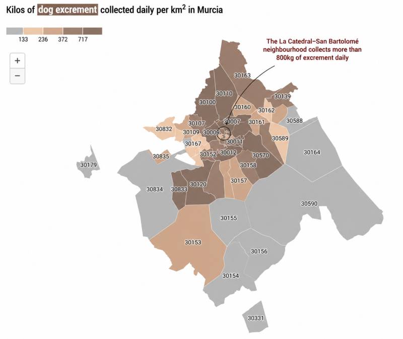 The hidden side of pet ownership: Murcia and Cartagena face growing dog waste challenge