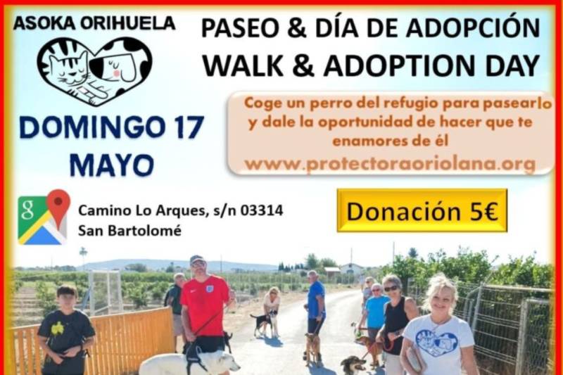 May 17 English-speaking dog lovers invited to Orihuela charity walks and adoption event