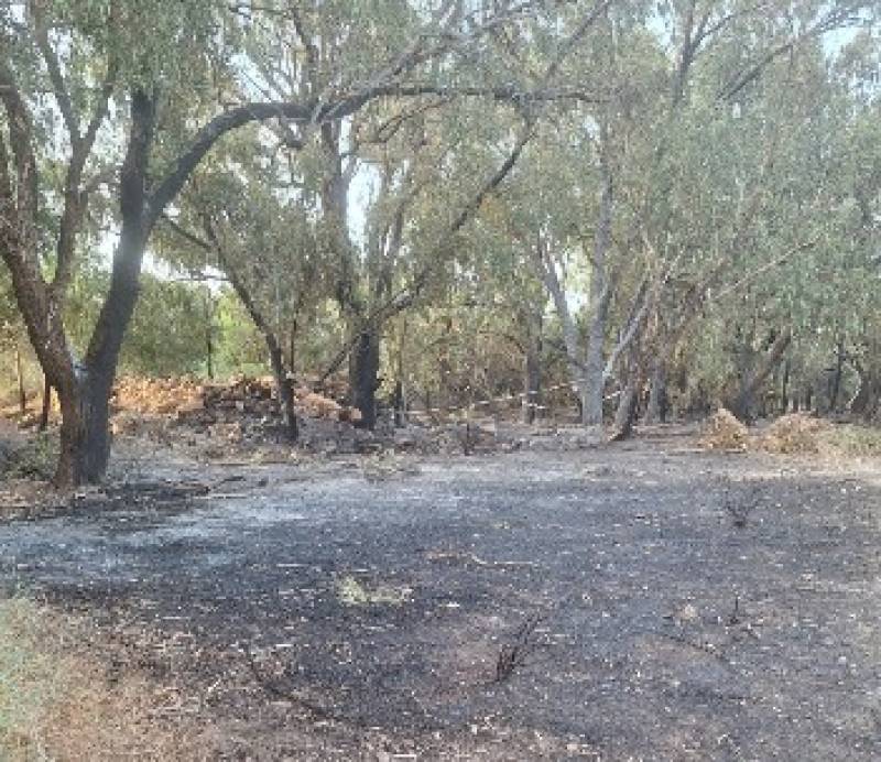 Wildfire alarms residents and beachgoers in La Azohía