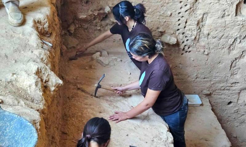 Remains of extinct bear species found at the 900,000-year-old Cueva Negra site in Caravaca