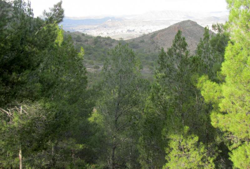 New Blue Trail named in the Jumilla mountains of Santa Ana